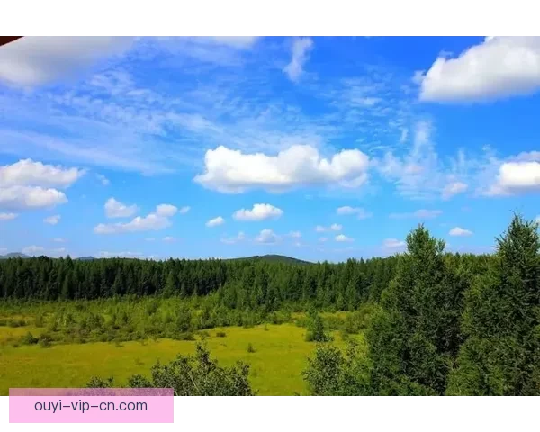 世界杯竞猜胜负玩法深度解析从基础规则到投注技巧全面指南助你轻松参与竞猜
